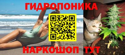 эйфоретик Тара