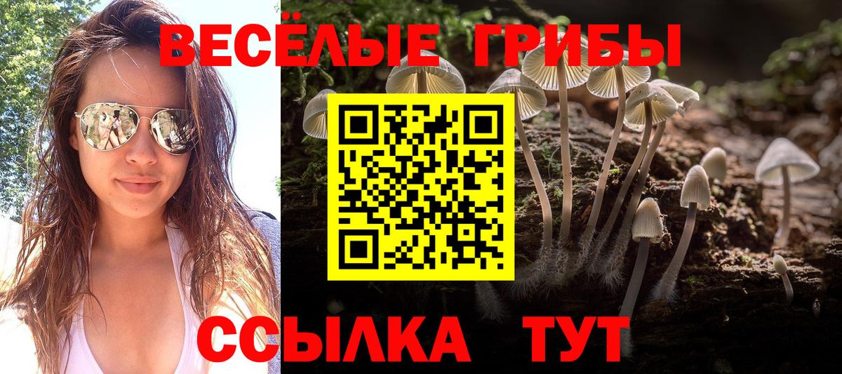 Нефтеюганск  Псилоцибиновые грибы мухоморы  Вход с VPN 